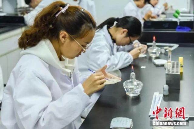 用细菌作画你见过吗这群大学生做到了