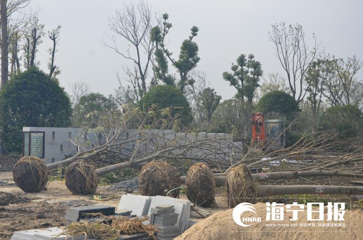 记者日前从马桥街道获悉,海宁马桥街道谈迁公园二期将于年底完工,届时