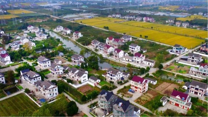 乡村振兴浙里寻|海宁全域土地综合整治 圆