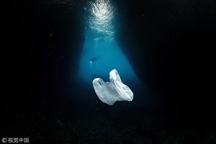 当地海域漂浮的塑料垃圾严重威胁着海洋野生动物的生存.