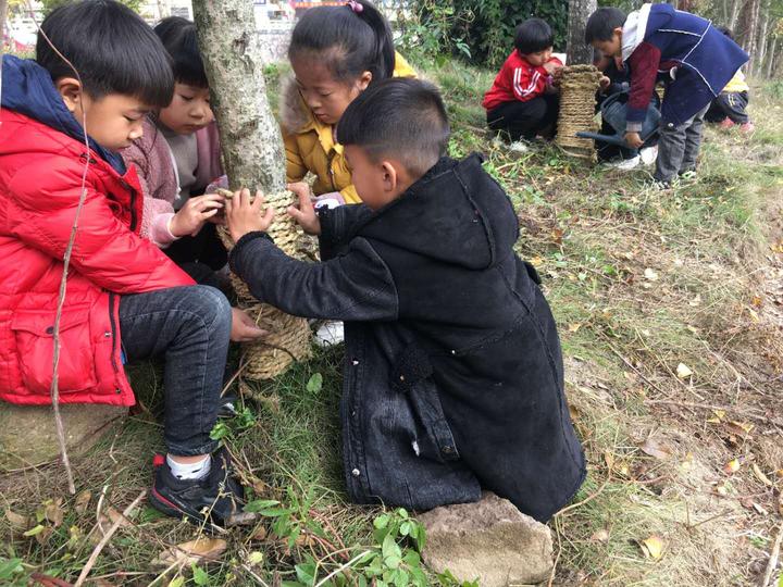 浦江县前吴乡福和希望小学播报|我为小树来穿衣,保护