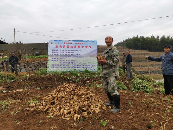 挑战成功后,余土根表示,他还将再接再厉运用科学种植方法,种出更多,更