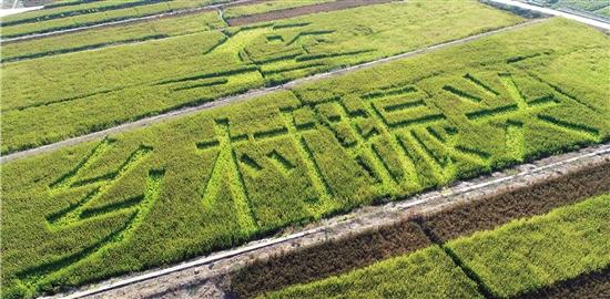 全市全域土地综合整治与生态修复工作现场会因此在漓渚举行.