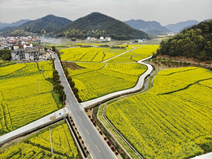 诸暨2镇乡上榜省美丽乡村示范乡镇