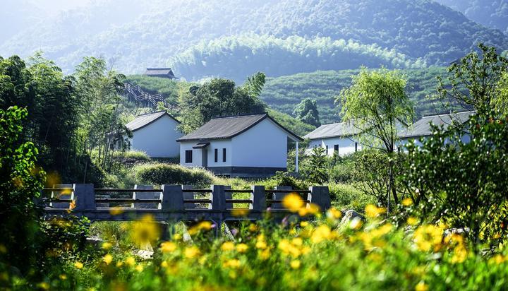 钱山漾景区