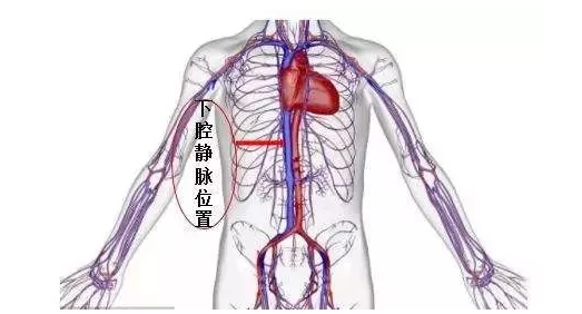 z型腔怎么搭_囗腔溃疡怎么治疗(2)