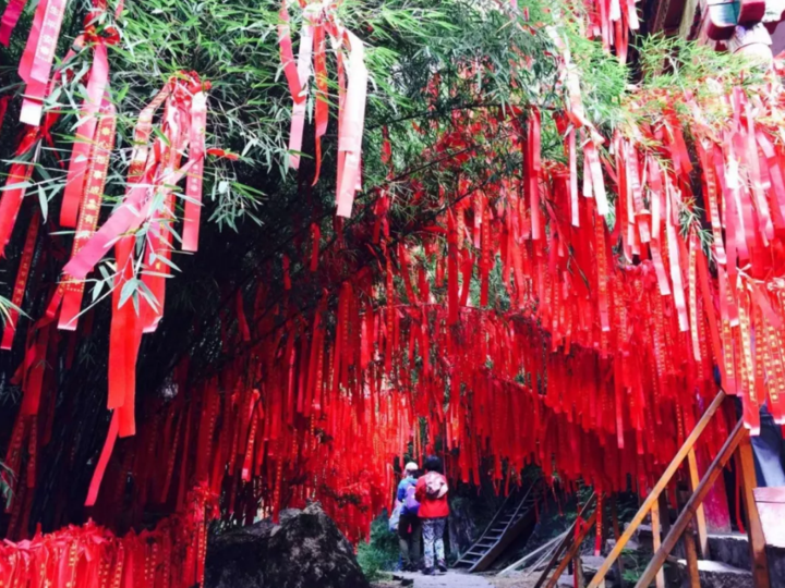 到百山之祖 来一场说走就走的"新年登高祈福"