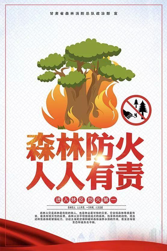 森林防火宣传海报!速看!