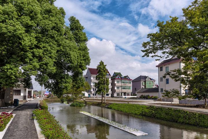 老家|2018美丽乡村示范乡镇:诗画郊野 文旅林埭