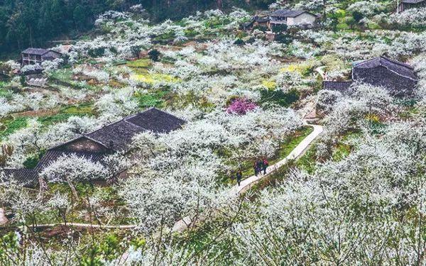 渝北区统景镇印盒景区