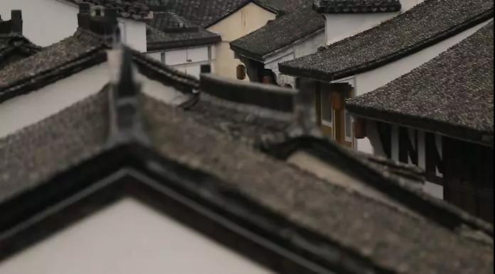 诸暨枫桥青年街上的这个女人,意大利总统亲自来找她