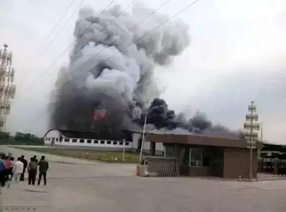威海山东植物到底5人死亡,液氨泄漏是何方神圣液氨灯朱图片