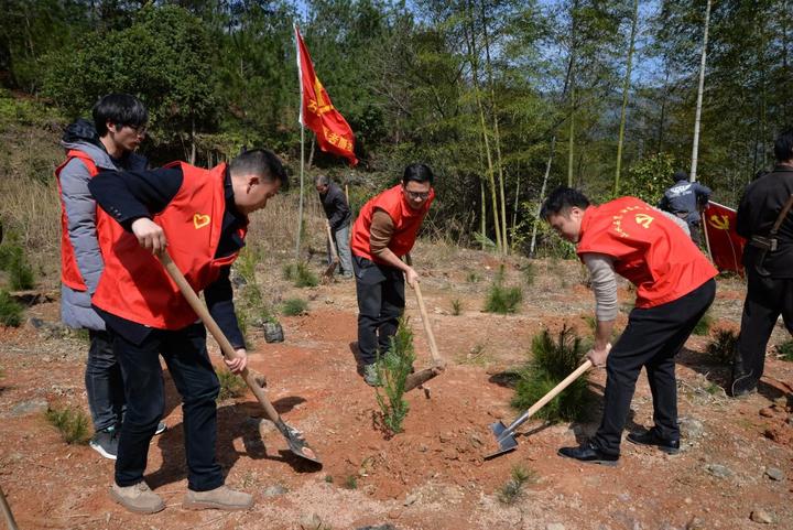 相约春天 植树节里缙云党员干部种树忙