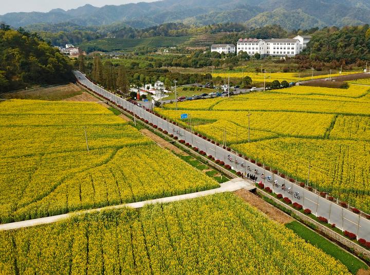 油菜花田穿行2019环浙自行车嘉年华诸暨同山首发