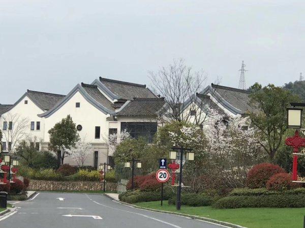 话剧《青青余村》讲述余村从"卖石头"到"卖风景"的转变