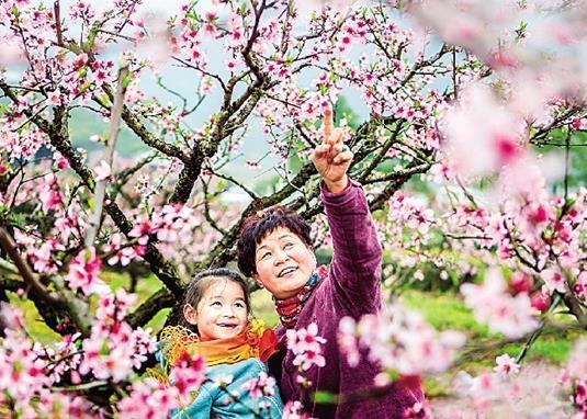 首届永康花街镇桃花节一炮走红,跟随镜头一起回顾精彩瞬间吧