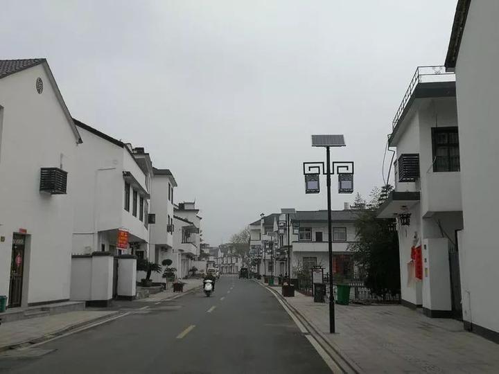 航埠橘航埠街航埠鸟这些照片只有老底子航埠人才懂