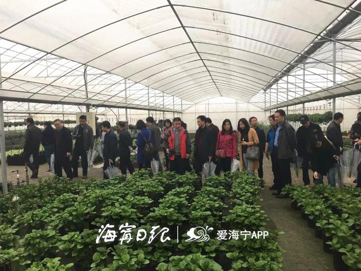 全国40余位植物检疫专家来海宁!我市引种植物隔离种植受肯定