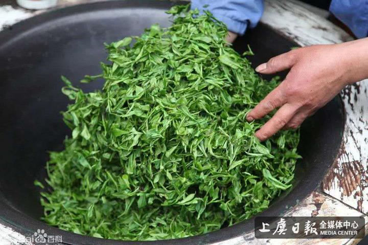 风景与你   岭南生产的茶叶品种有绿茶,云雾茶,条干,辉白,龙井及苦丁