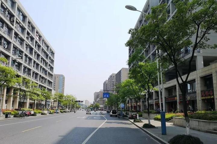 17万人居住区无地面公共泊位 杭州丁兰街道停车为何这么难?