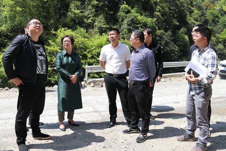 4月18日上午,温岭市领导和相关部门负责人组成督查组,到大溪镇,石桥头