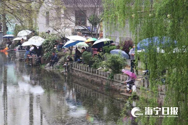 尖山新区(黄湾镇)