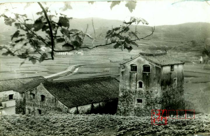 壮丽70年·奋斗新时代 温岭坞根东部"延安"红色浓