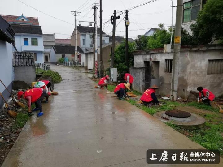 上虞 沥海镇以"清三乱"为重点 全域推进农村环境卫生整治