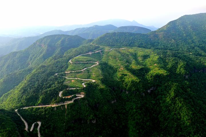 《浙南川藏线》游山兔摄体育游戏类型玩法图片