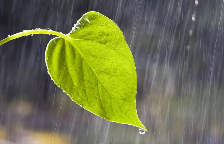 雨水让夏天的空气更加闷热 让我们一起《听听那冷雨》