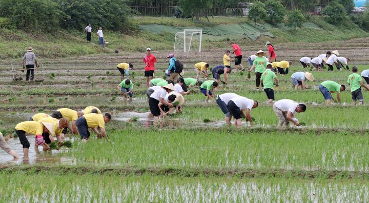 农耕文化6月6日,是农历节气芒种,德清县阜溪街道郭肇村举办乡村耕耘节