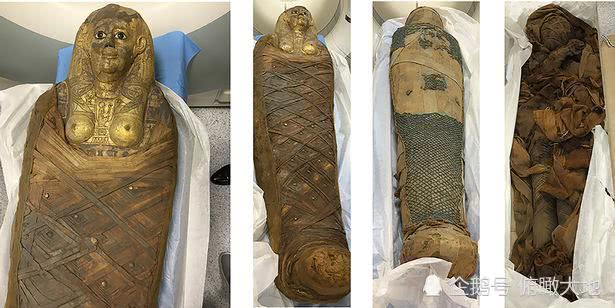 法老的"护发素"?古埃及木乃伊的卷发在3000年后被发掘