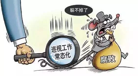 推进村级党组织政治体检全覆盖武义巡察利剑直插村居基层