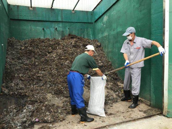 浙报点赞长兴北汤村用可腐垃圾堆肥垃圾变宝很抢手