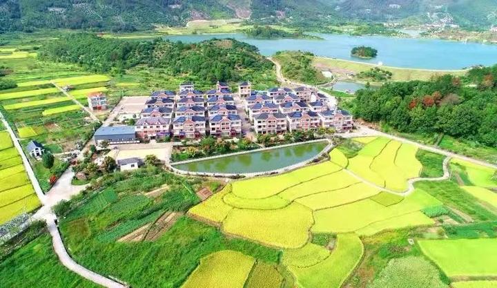 台州市全域土地综合整治现场推进会