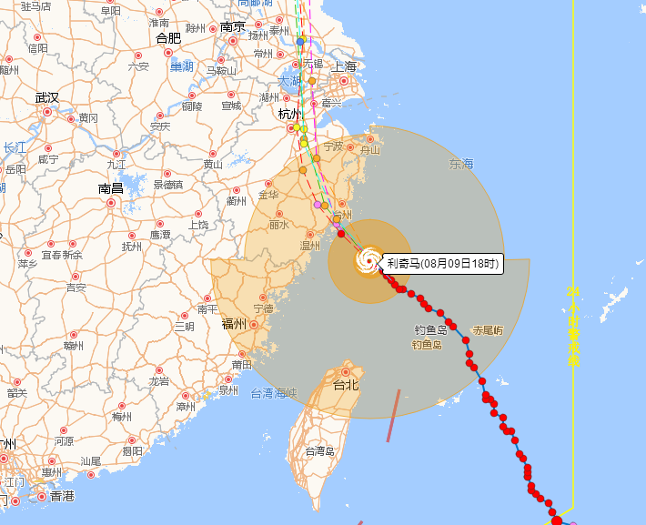 9日18点钟9号台风"利奇马"位于距离绍兴大约335公里东海南部海面上.