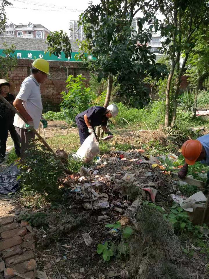 古城街道加强环境卫生整治,助力文明城市创建!