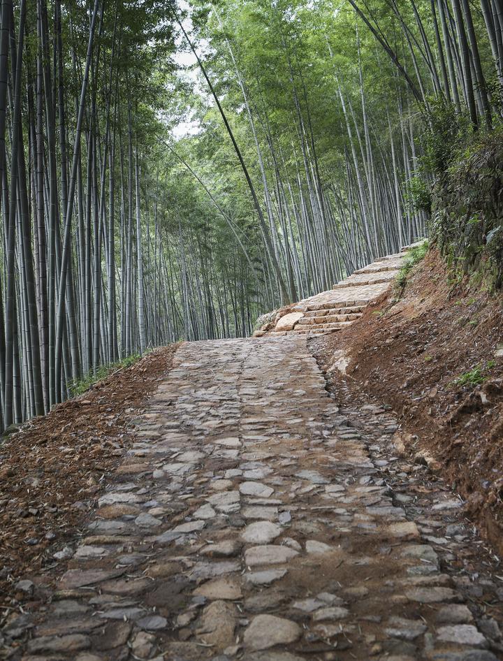 梅坞岭古道重现生机