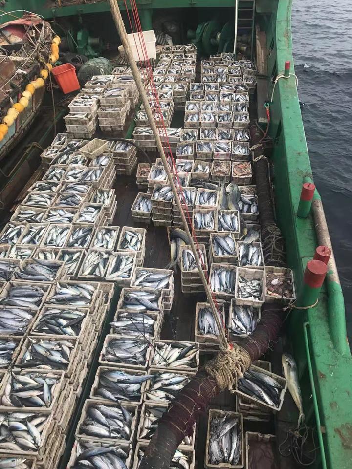 浙报头版点赞丨洞头推出海上电商结算平台 货款实时结算