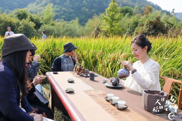 稻田里的艺术 临安升级版村落景区点燃乡村旅游