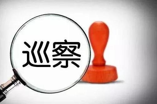 巡察组向椒江这5家单位党组织反馈巡察情况