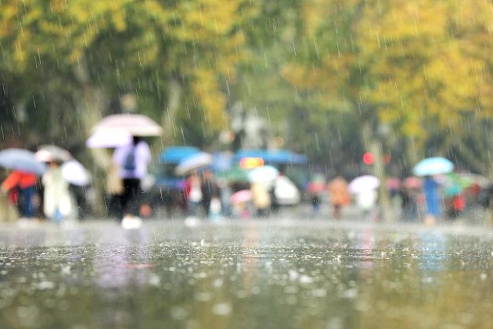 11月7日,立冬前夕,受弱冷空气影响,杭城小雨先到场.