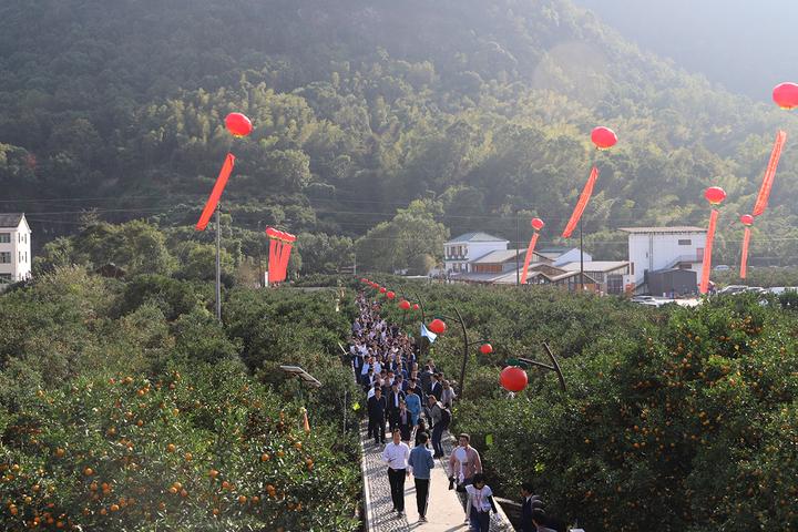 据历史考证,断江一带是栽培历史长达 1700 多年的黄岩蜜橘始祖地,园区