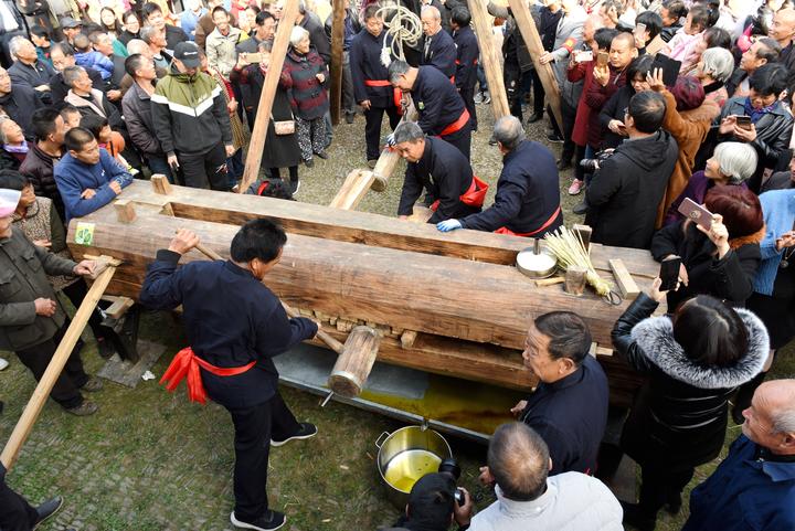 古法榨茶油油香迎丰收