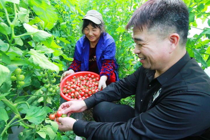 图说   反季果蔬助农增收