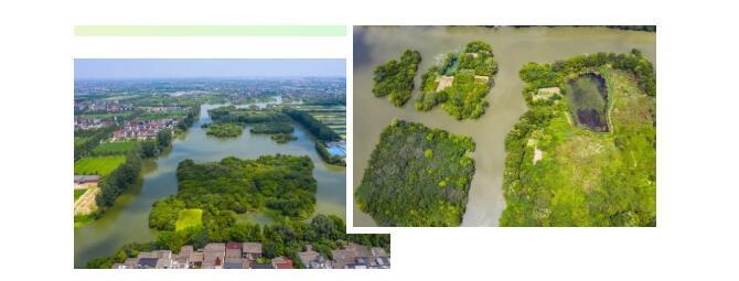 桐乡白荡漾省级湿地公园