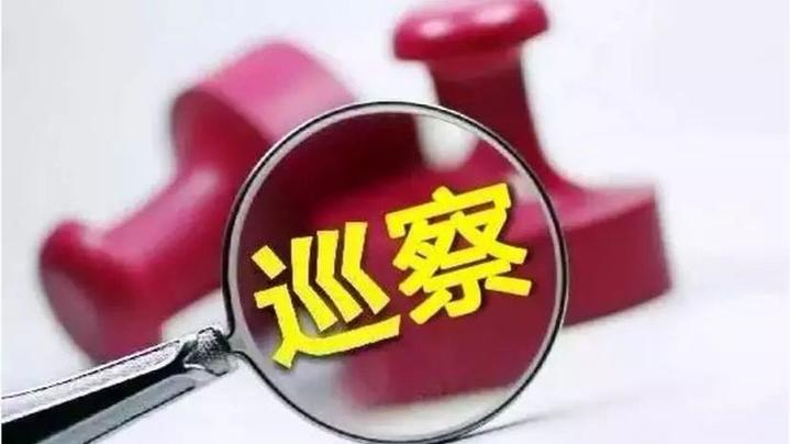 突出政治导向深化成果运用岱山彰显巡察利剑作用