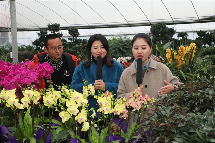 直播回顾丨漓渚·绍兴花市年宵花会戏曲抖音大赛