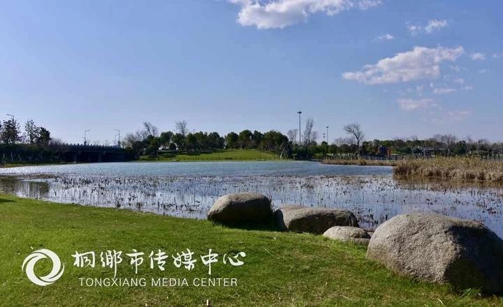 春天来了!为桐乡按下播放键