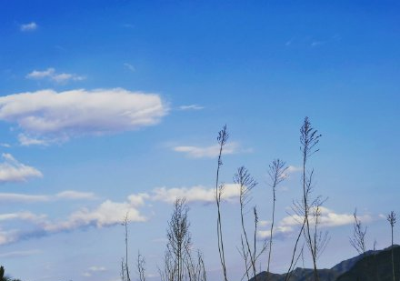 "冷暖交替,变化无常"正是冬末初春的天气特点.